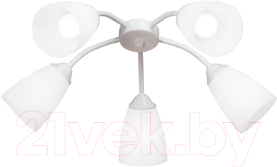 Люстра Vitaluce V3187-0/5PL - фото