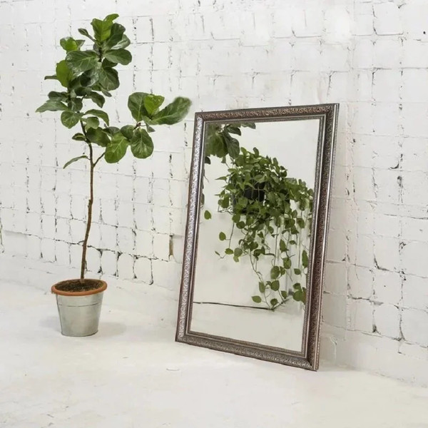 Зеркало Silver Mirrors Эфес 41x61 / ФР-00000923 - фото