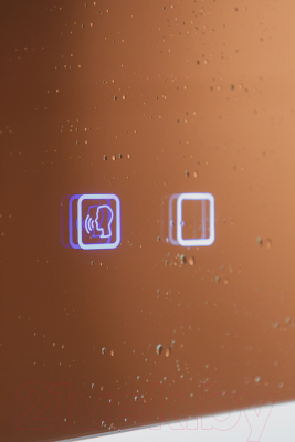 Зеркало Silver Mirrors Рига Voice 60x80 / LED-00002614