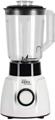 Блендер стационарный Making Oasis Everywhere ST-60W - фото