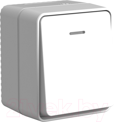 Выключатель Schneider Electric AtlasDesign ATN543013 - фото