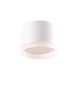 Точечный светильник Truenergy 21035