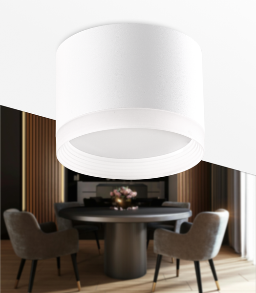 Точечный светильник Truenergy 21035