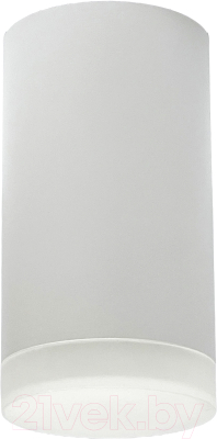 Точечный светильник Truenergy 21302 - фото