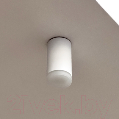 Точечный светильник Truenergy 21302