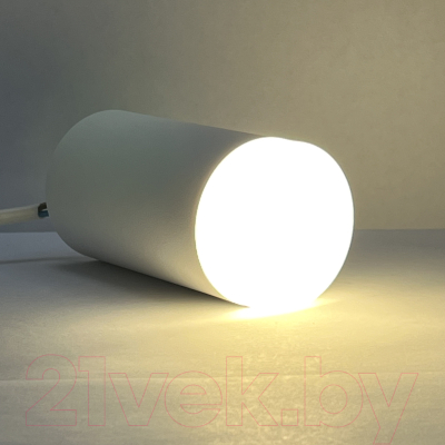 Точечный светильник Truenergy 21302