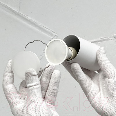 Точечный светильник Truenergy 21302