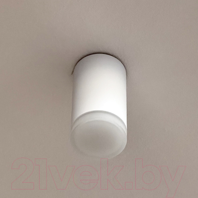 Точечный светильник Truenergy 21302