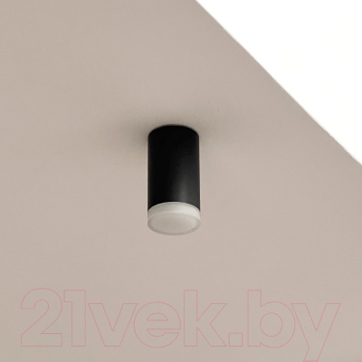 Точечный светильник Truenergy 21303