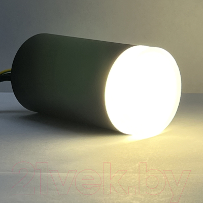 Точечный светильник Truenergy 21303