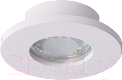 Точечный светильник Truenergy 21243 - фото