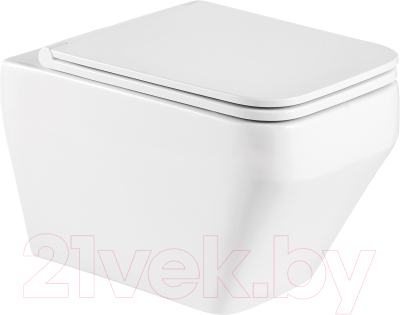 Унитаз подвесной WeltWasser Hofbach 041 GL-WT - фото