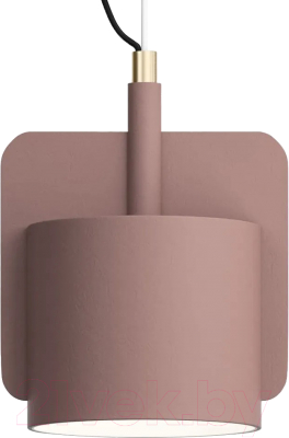 Потолочный светильник Imperiumloft Skovl01 / 186772-26 - фото