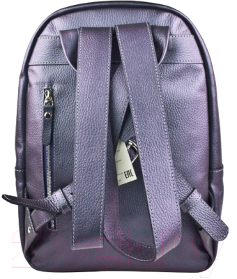 Рюкзак Carlo Gattini Premium Albiate 3103-57 (северное сияние)