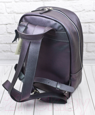 Рюкзак Carlo Gattini Premium Albiate 3103-57 (северное сияние)