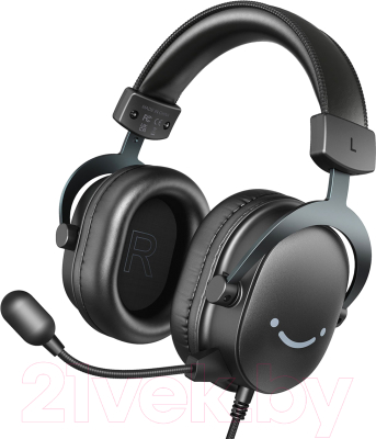 Наушники-гарнитура Fifine H9 - фото