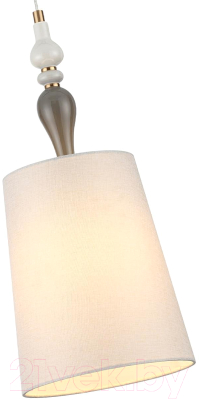 Потолочный светильник Odeon Light Homi 5040/1A