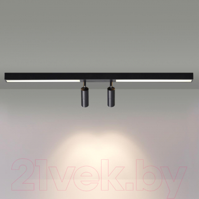 Спот Lumion Hawk 5690/19CL