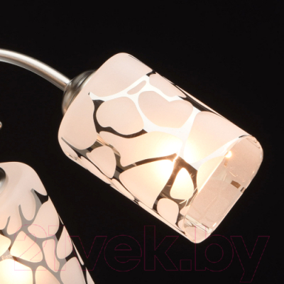 Люстра MW light Олимпия 261019505