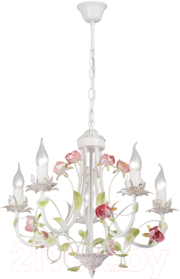 Люстра Vitaluce V1138-0/5 - фото