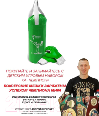 Бокс детский Absolute Champion Я-Чемпион 6кг груша + перчатки