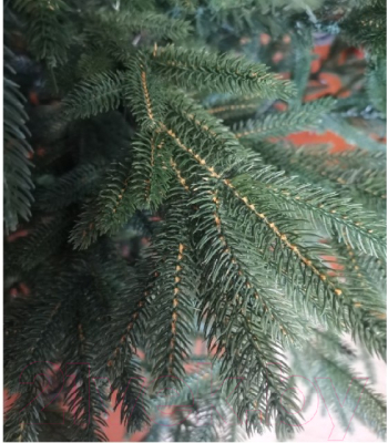 Ель искусственная Maxy Poland Императорская литая. Ecxlusive