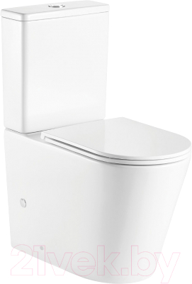 Унитаз напольный WeltWasser Salzbach 011 GL-WT - фото