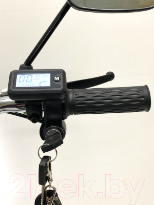 Электровелосипед Green Camel Транк 20 V8 PRO 60V 2х подвес