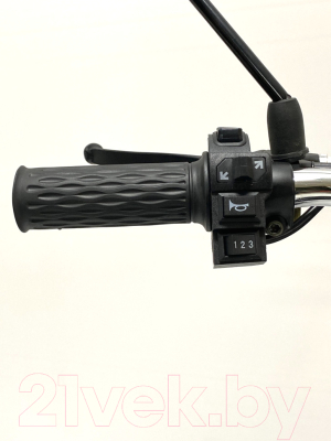 Электровелосипед Green Camel Транк 20 V8 PRO 60V 2х подвес