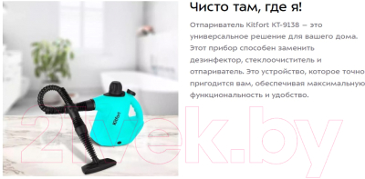 Пароочиститель Kitfort КТ-9138-2 (черный/зеленый)