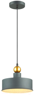 Потолочный светильник Odeon Light Bolli 4088/1 - фото