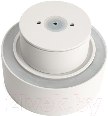 Потолочный светильник Feron HL367 / 48407