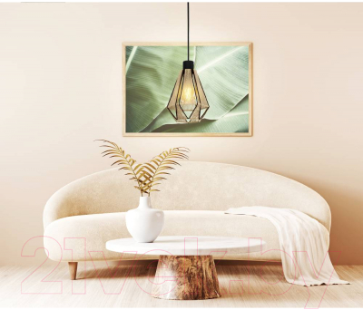 Потолочный светильник Eglo Adwickle 43776