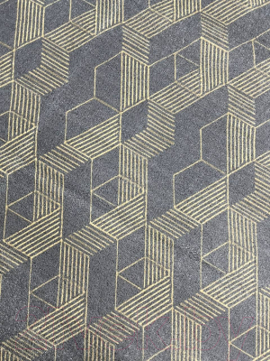 Коврик грязезащитный Евроковрик №96 170x120 - фото