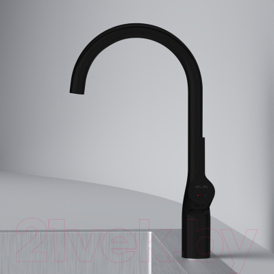 Смеситель AM.PM Spike F9S07022 (черный)