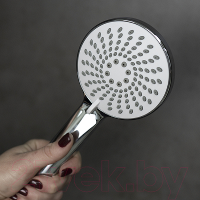 Лейка ручного душа LEMARK LM8150C