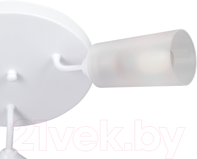 Люстра Vitaluce V3762-0/3PL