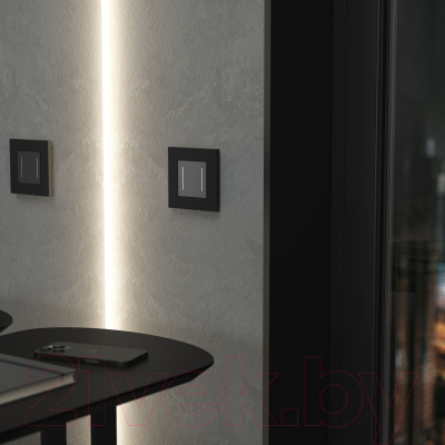 Рамка для выключателей и розеток Werkel W0012908