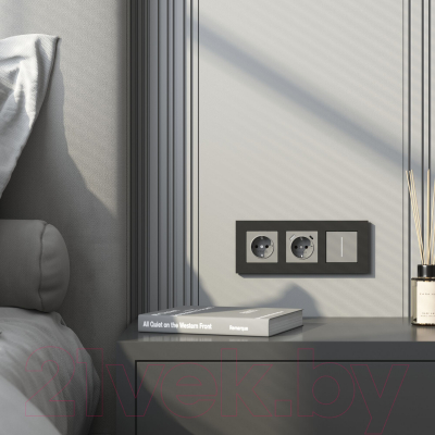 Рамка для выключателей и розеток Werkel W0032908