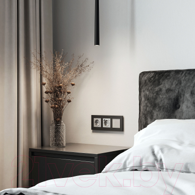 Рамка для выключателей и розеток Werkel W0032908