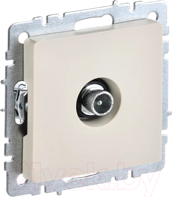 Розетка IEK Brite BR-A10-P-K10 - фото