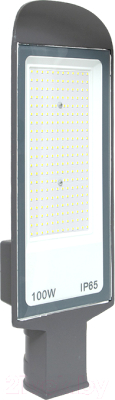 Светильник уличный EKF PROxima SLL-8003-100-5000 - фото