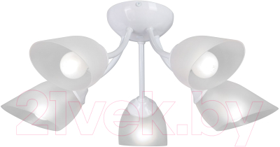 Люстра Vitaluce V3405-0/5PL - фото