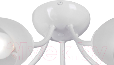 Люстра Vitaluce V3405-0/5PL