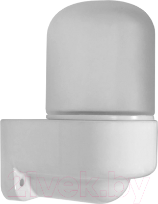 Светильник ЖКХ Везувий Для сауны / 402 - фото