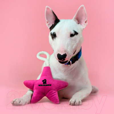 Игрушка для собак Mr. Kranch Звездочка с канатом и пищалкой / MKR80256