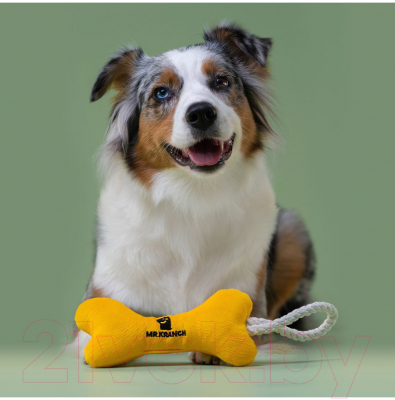 Игрушка для собак Mr. Kranch Косточка с канатом / MKR80247