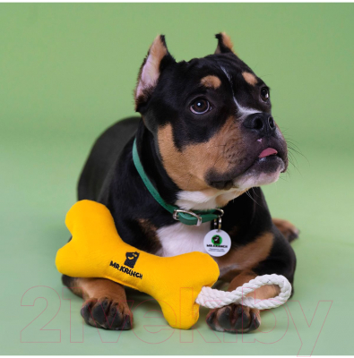 Игрушка для собак Mr. Kranch Косточка с канатом / MKR80253