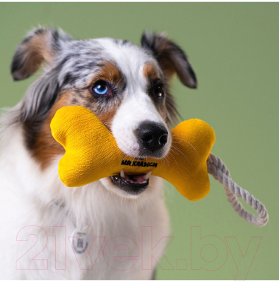 Игрушка для собак Mr. Kranch Косточка с канатом / MKR80253