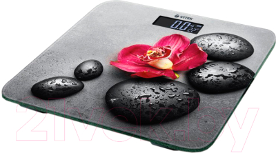 Напольные весы электронные Vitek VT-8084 - фото